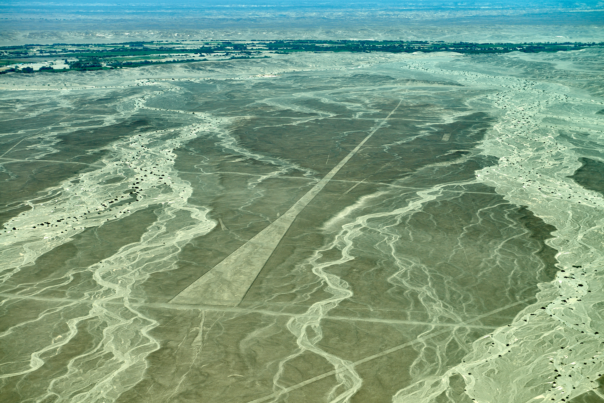 20200305 257 [페루] 나스카 라인